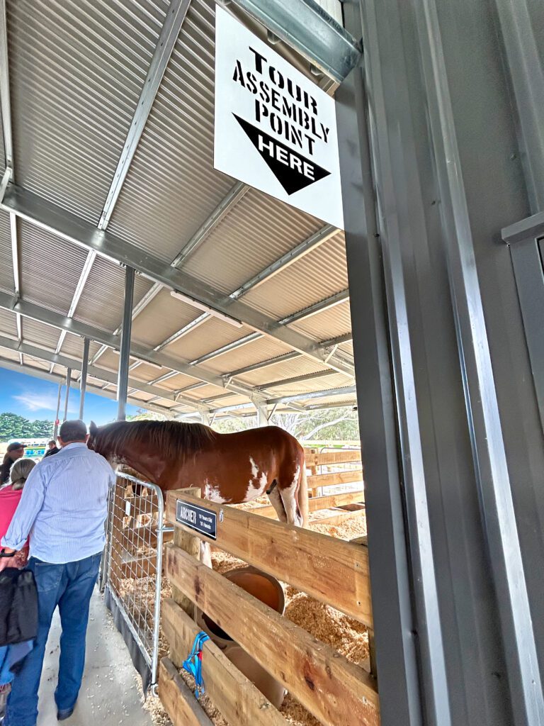 Horse Tram Tours