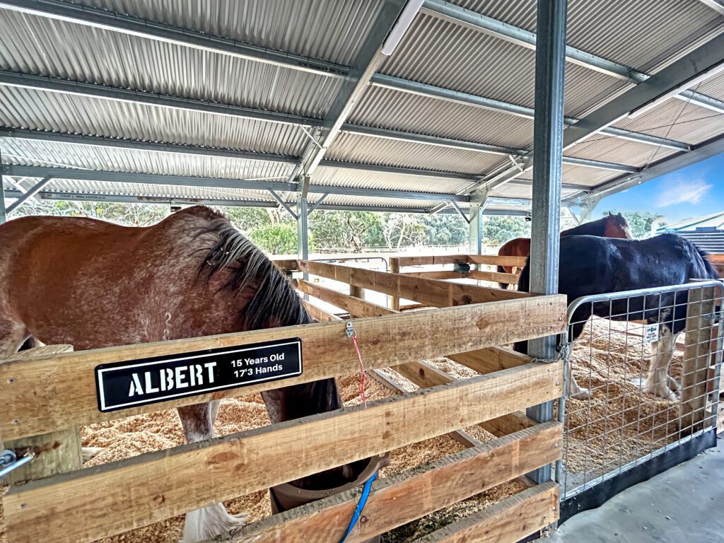 Horse Tram Stables 1