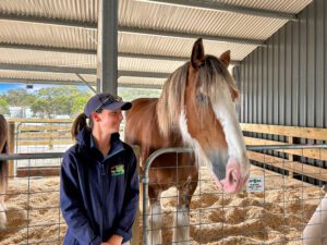 Horse Tram Stables 3