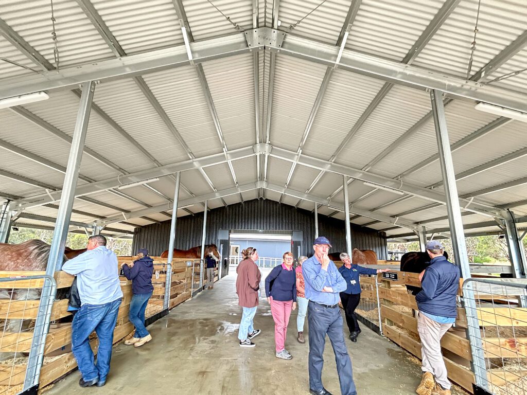 Horse Tram Stables 2