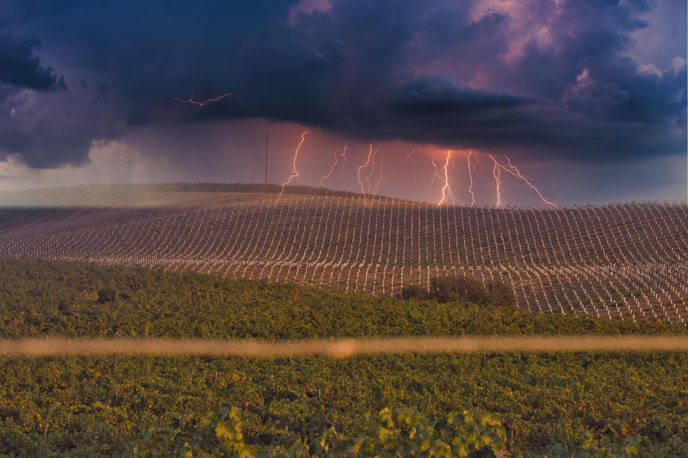 Lightening across the paddock